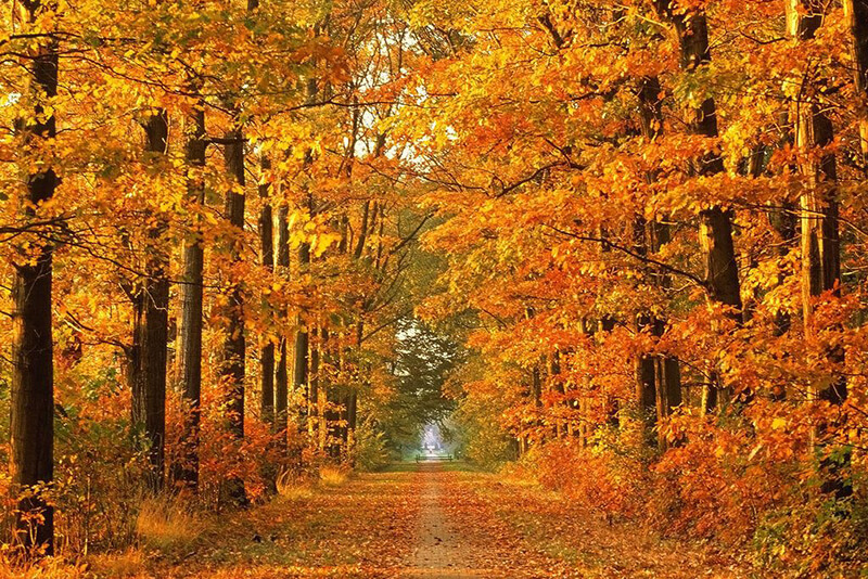 Why September is the New January!
