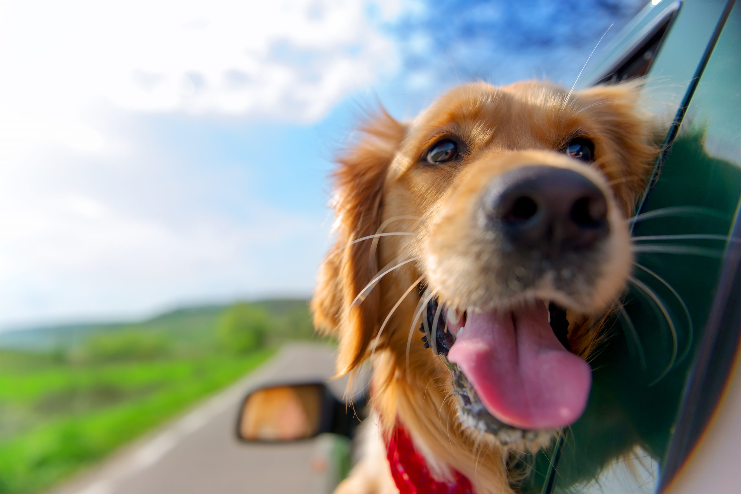 Is Happiness An Inside Job?
