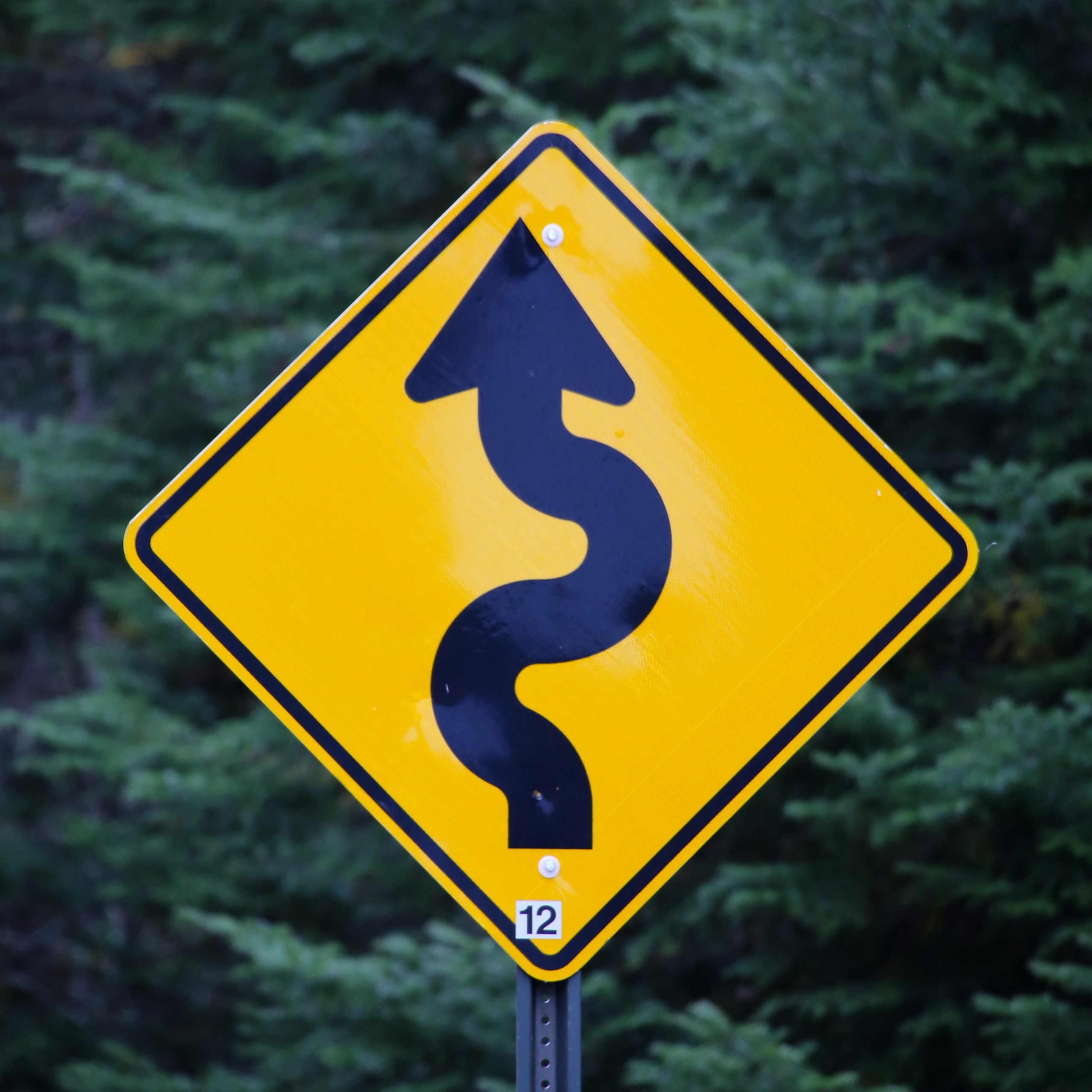 Strategy in Life and Business
